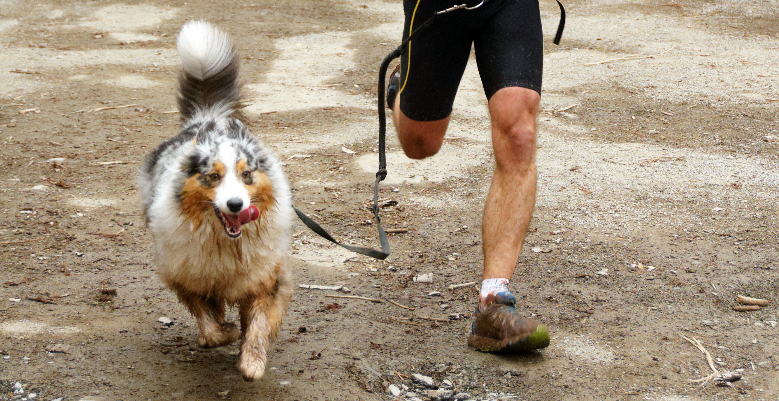 letni_sporty_se_psy_001