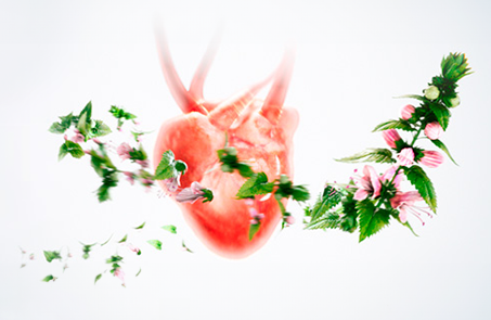 pro_klid_kocici_duse_001