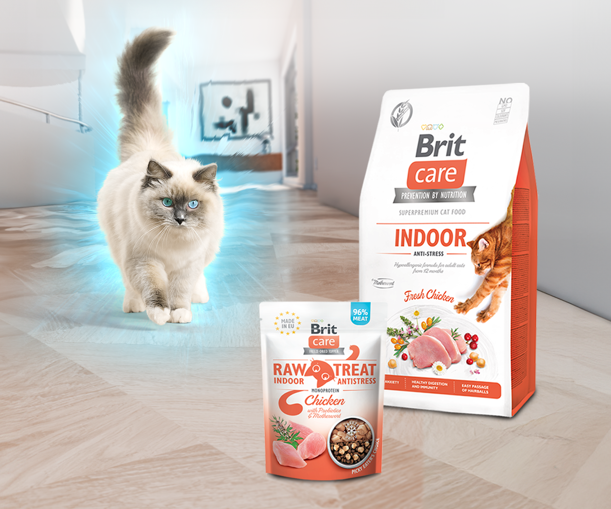 pro_klid_kocici_duse_002