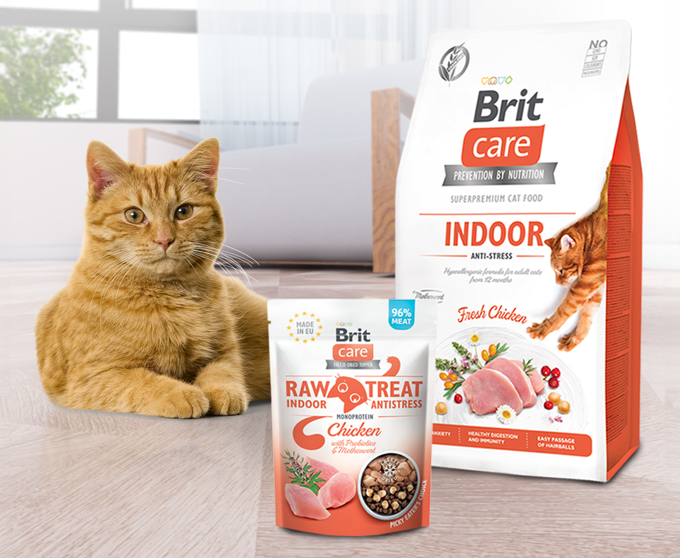 pro_klid_kocici_duse_003