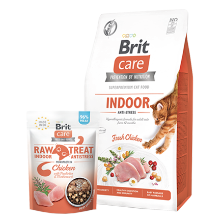 pro_klid_kocici_duse_ikona