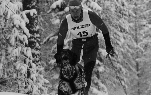 mate_aktiviho_psa_001