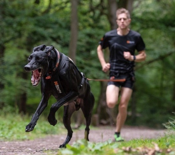 mate_aktiviho_psa_004