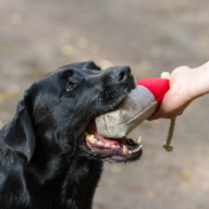 chodí pešek okolo, nedívej se na něho