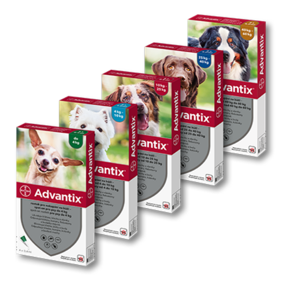 komar_flebotom_bodalka_chrante_sve_psy_proti_bodavemu_hmyzu_clanek_004