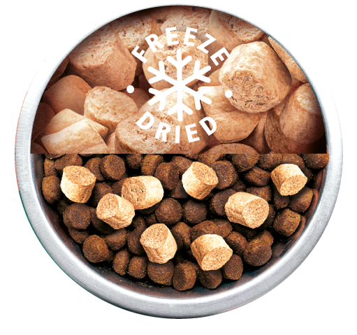 toppery_pro_psy_a_kocky_003