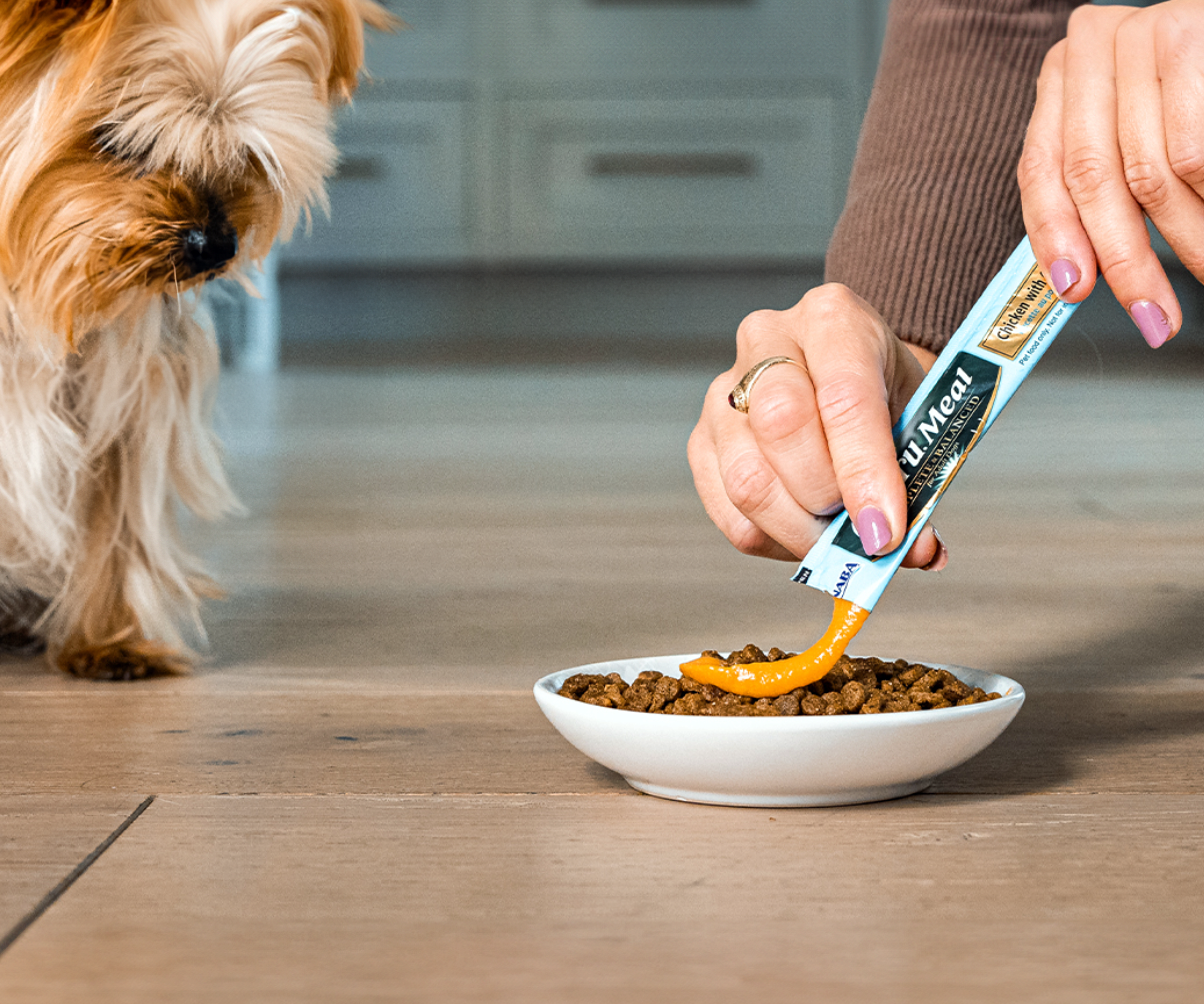 toppery_pro_psy_a_kocky_005