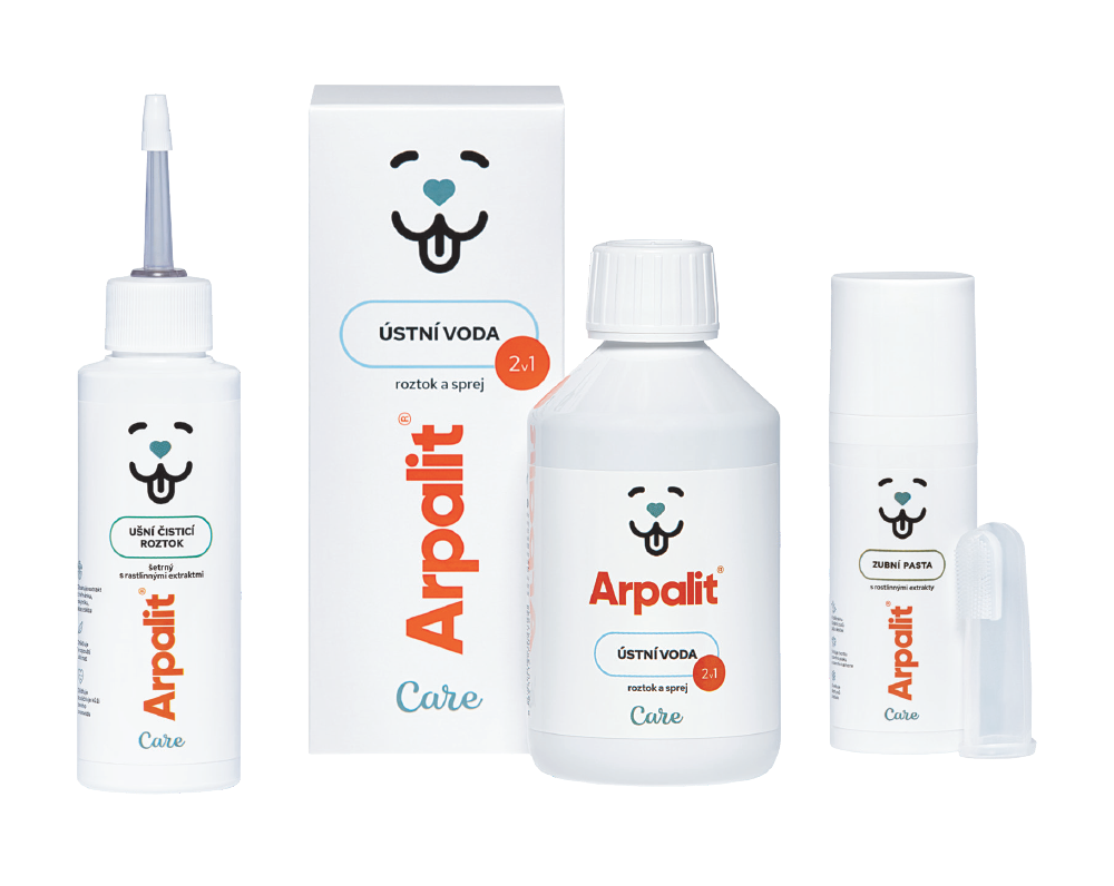 pecovat_o_zuby_a_usi_domacich_mazlicku_se_vyplati_clanek_006