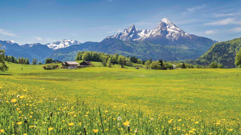 seno_pro_hlodavce_003