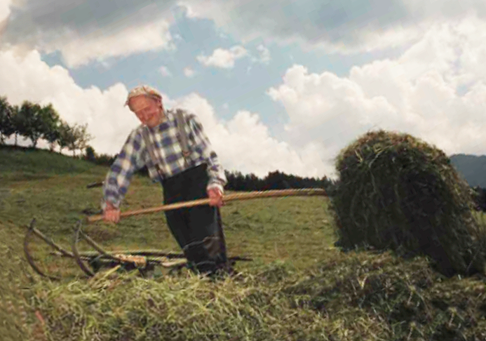 seno_pro_hlodavce_007