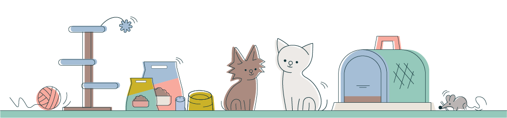 vybava_pro_kote_banner