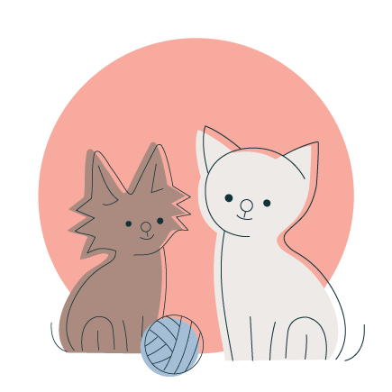 vybava_pro_kote_ikona