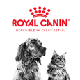 Výživa, která nedá na trendy: veterinární diety Royal Canin