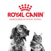 Výživa, která nedá na trendy: veterinární diety Royal Canin