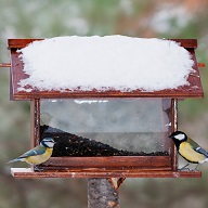 návštěvníci krmítek