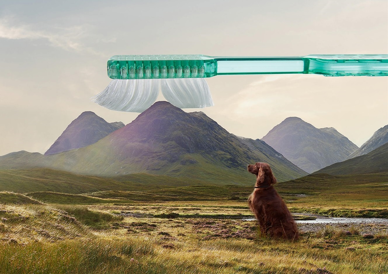 poznejte_canagan_pro_psy_a_kocky_clanek_004