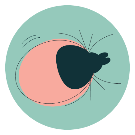 jak_chranit_zvire_proti_klistatum_ikona