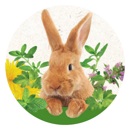 to_nejlepsi_pro_ty_nejmensi