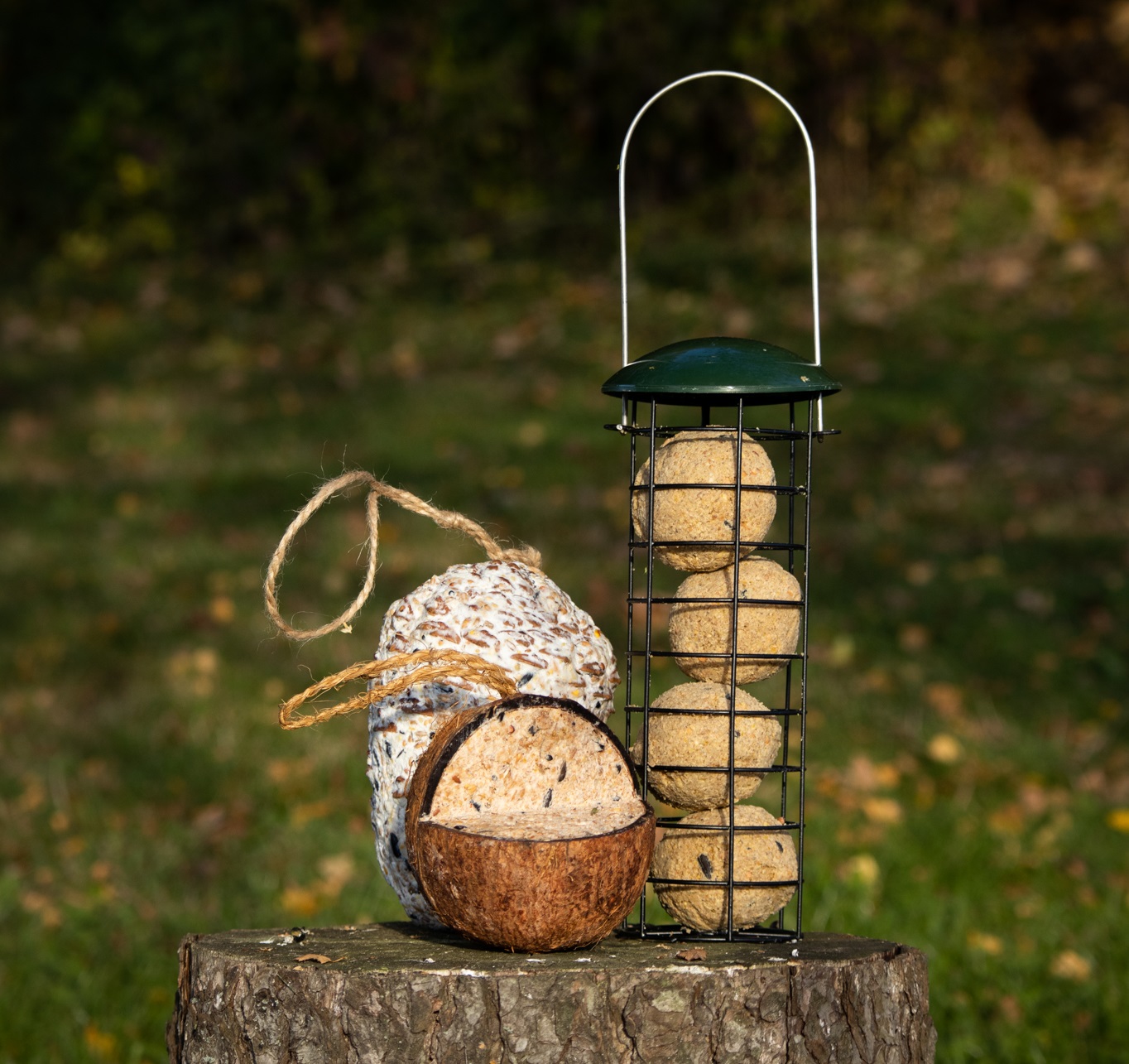 tipy_na_darky_pro_drobne_savce_a_operence_clanek_005