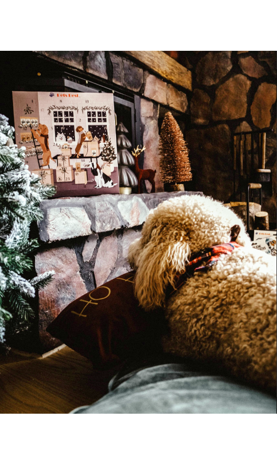 tipy_na_darky_pro_psy_a_fenky_clanek_001_II