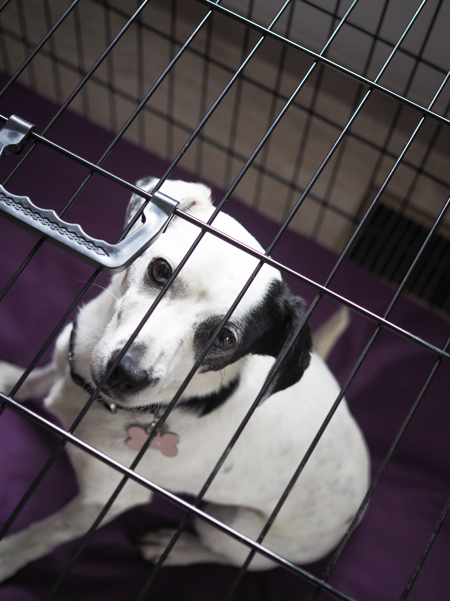 v_klicce_jako_doma_clanek_003