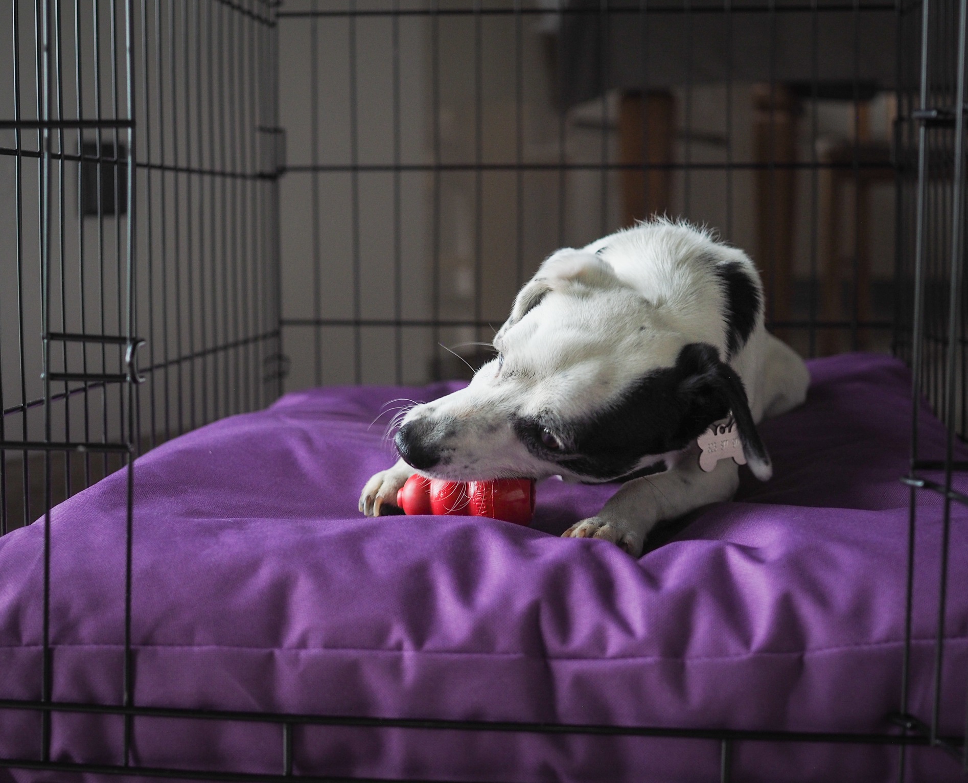 v_klicce_jako_doma_clanek_004