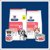 Jak pečovat o vážně nemocné psy a kočky: výživa, léčba a podpora