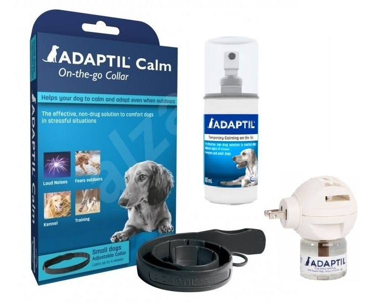 jak_prezit_silvestr_se_psem_003