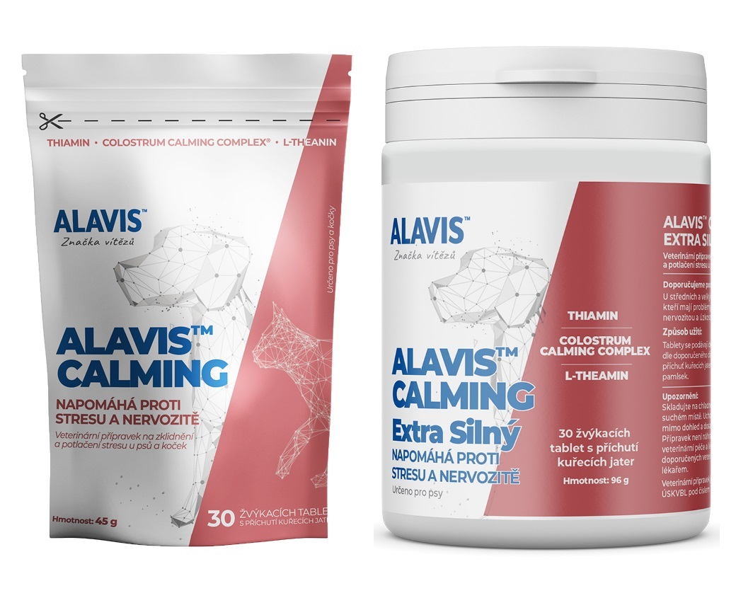 jak_prezit_silvestr_se_psem_004