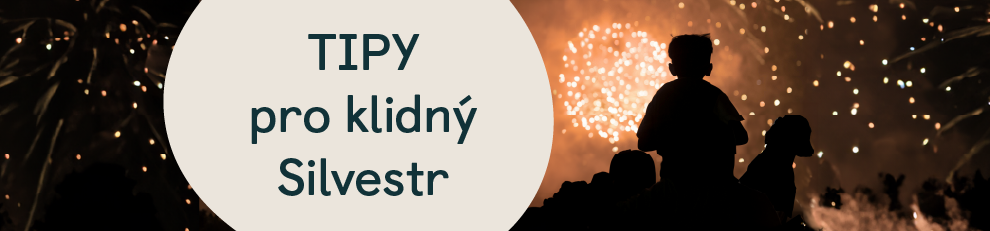 jak_prezit_silvestr_se_psem_banner