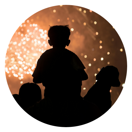 jak_prezit_silvestr_se_psem_ikona