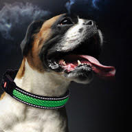 bezpecne venceni ikona