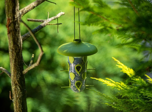 prikrmovani_ptactva_na_podzim_001