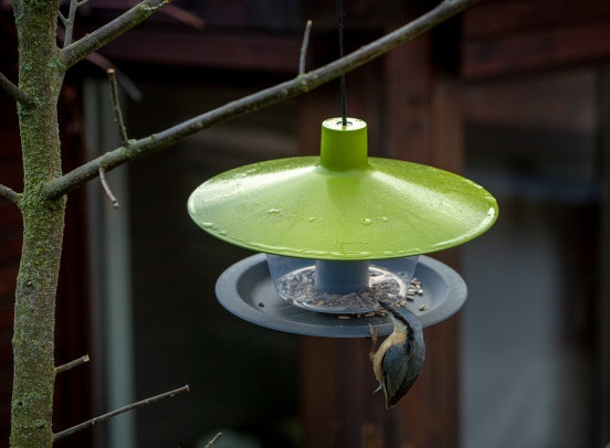 prikrmovani_ptactva_na_podzim_002