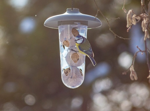 prikrmovani_ptactva_na_podzim_003