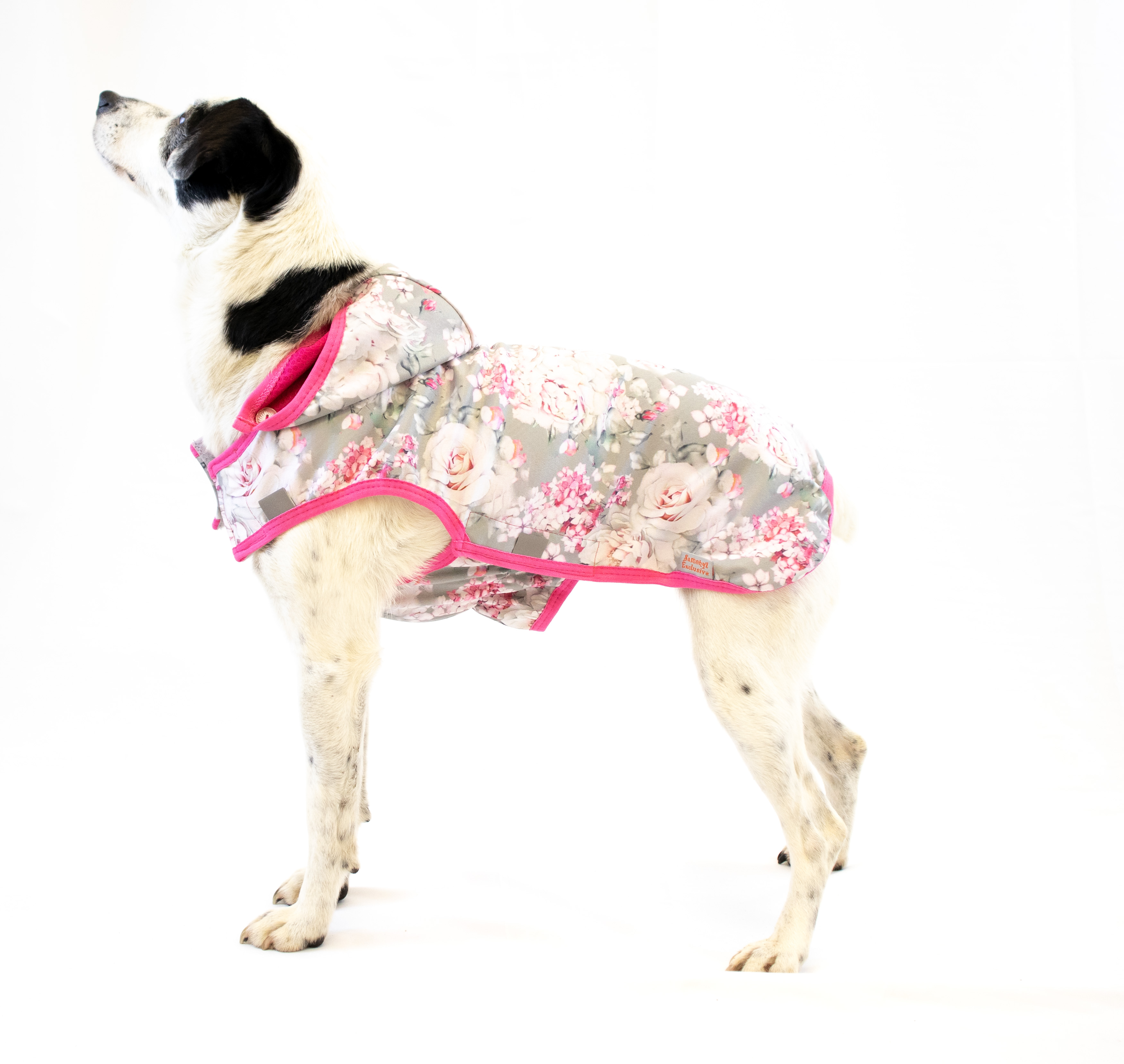 podzimni_tipy_pro_psy_a_kocky_clanek_001