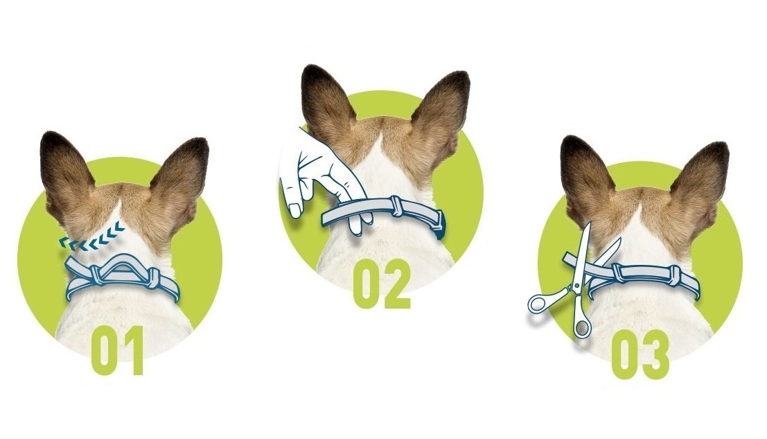 obojek_foresto_osm_mesicu_bez_klistat_a_blech_004