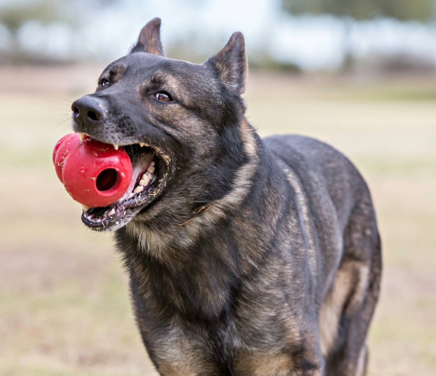 kong_kousaci_hracky_001