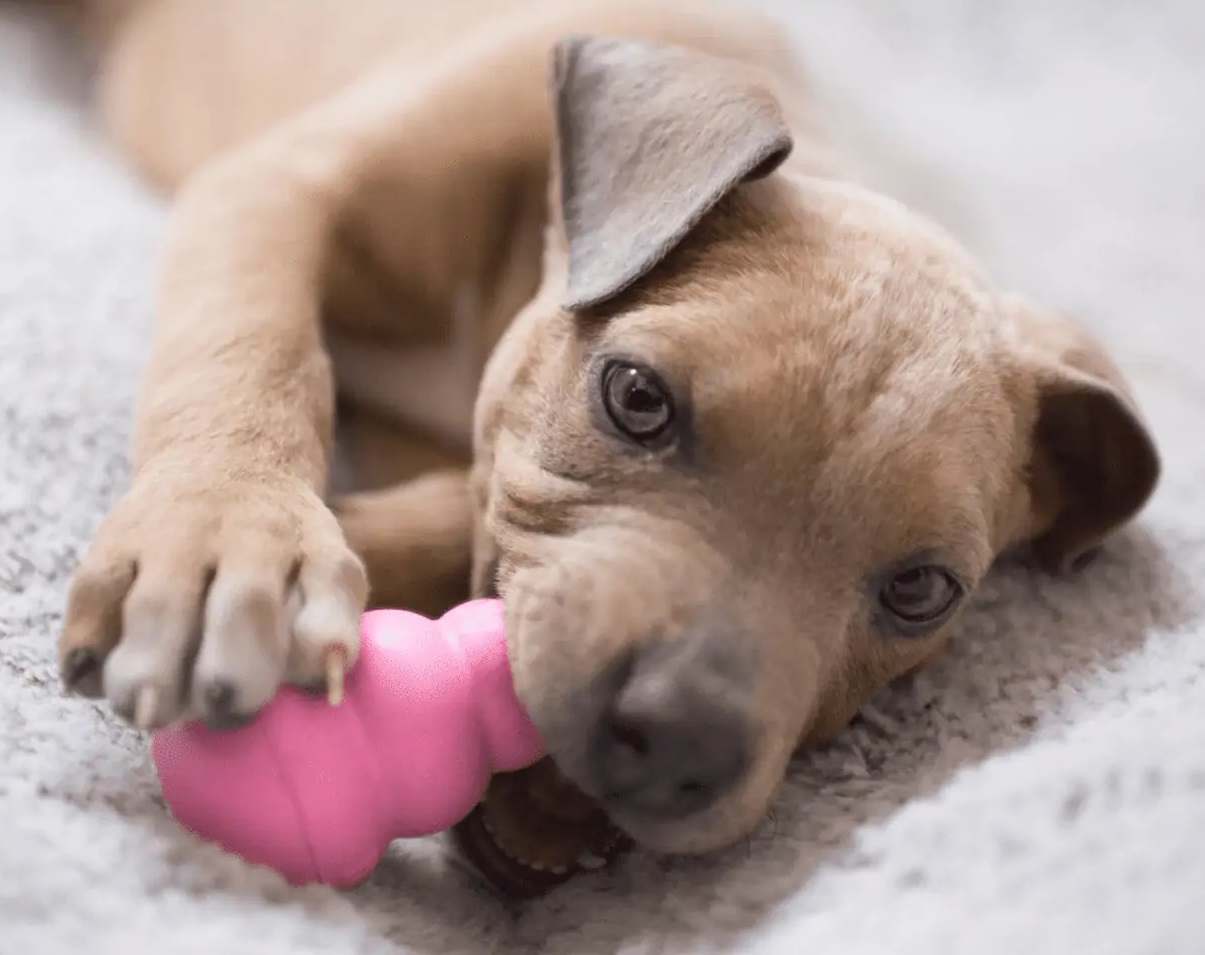 kong_kousaci_hracky_003