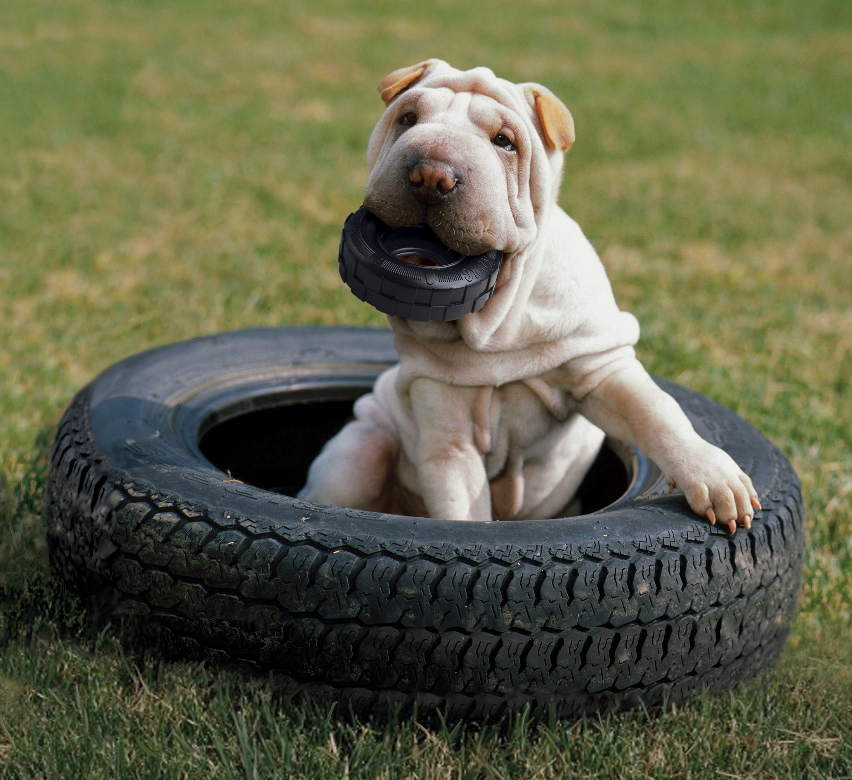 kong_kousaci_hracky_005