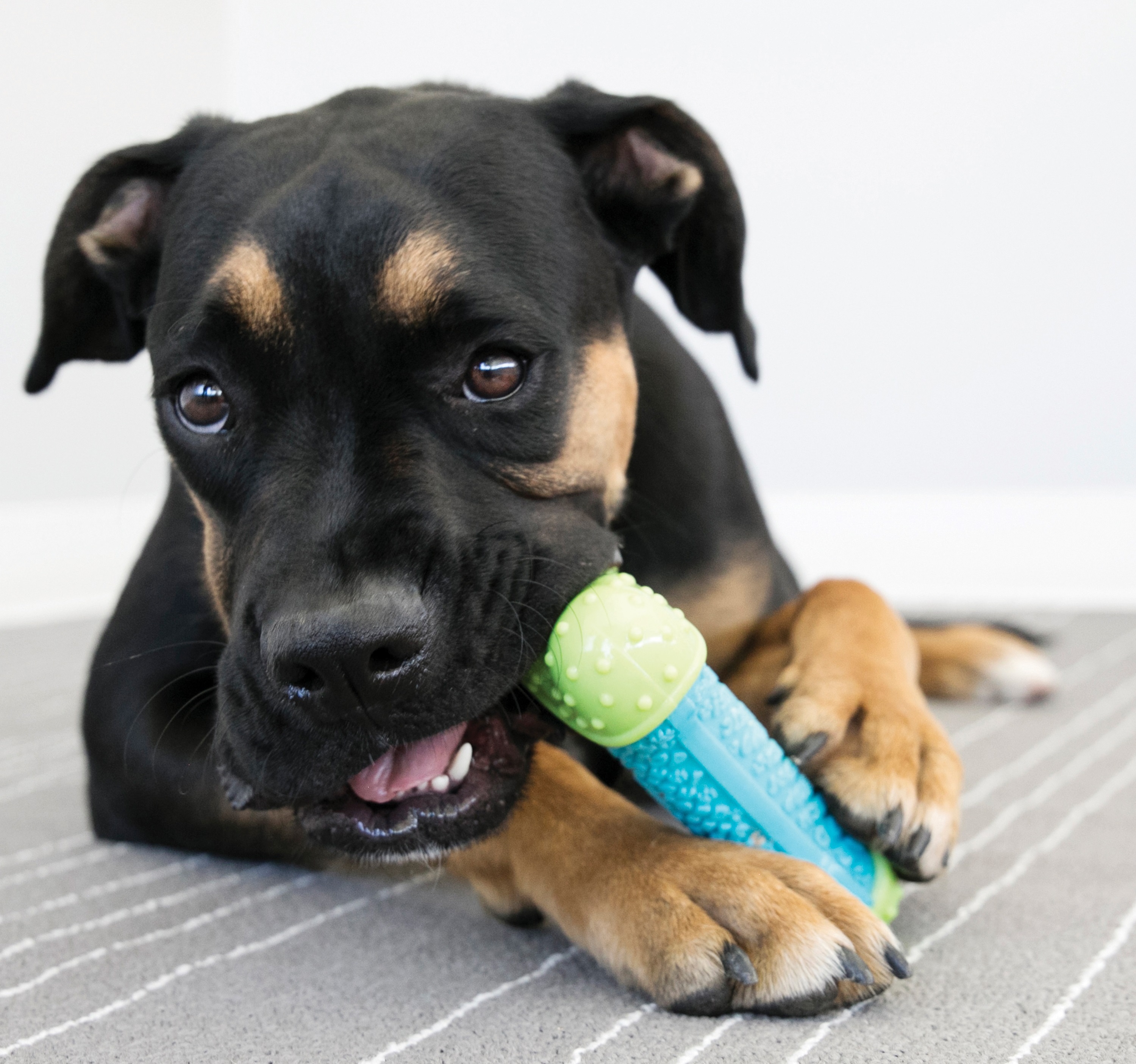 kong_kousaci_hracky_006