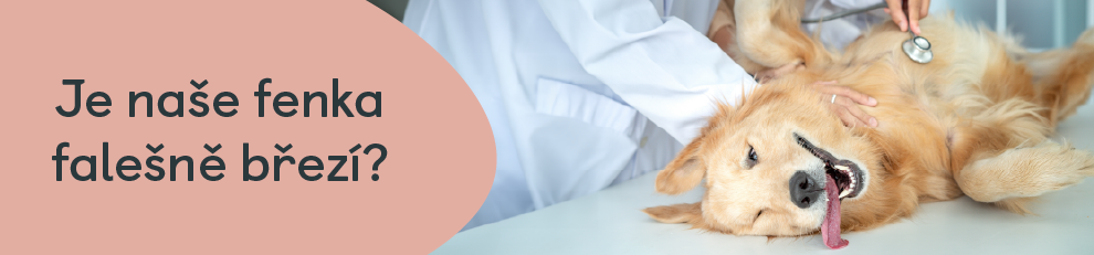 falesna_brezost_u_fen