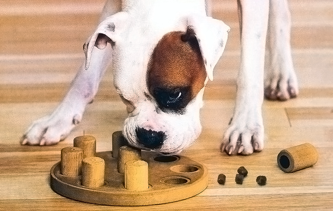 falesna_brezost_u_fen