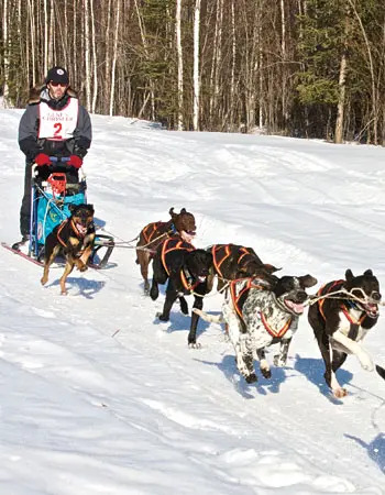 objevte_ameriku_krmiva_annamaet_pro_psy_a_kočky_clanek_001