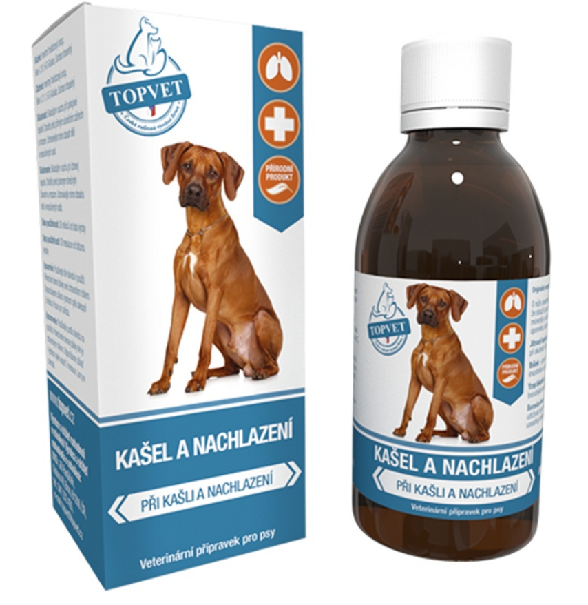 podzimni_tipy_pro_psy_a_kocky_clanek_001