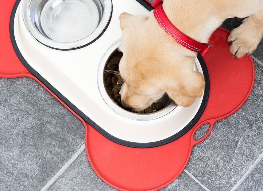 objevte_vyzivu_na_profesionalni_urovni_clanek_001