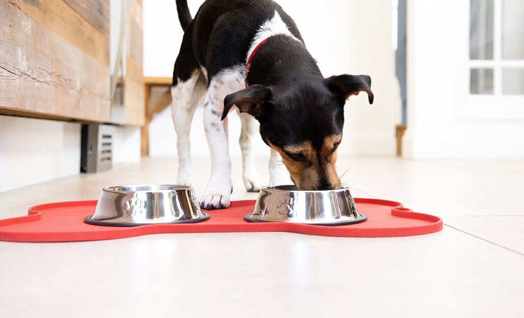 objevte_vyzivu_na_profesionalni_urovni_clanek_002