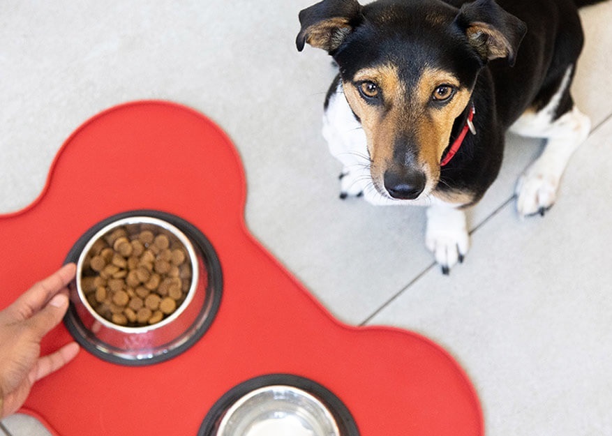 objevte_vyzivu_na_profesionalni_urovni_clanek_004