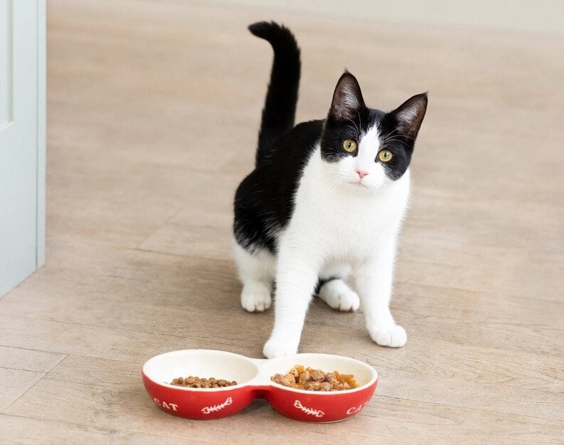 objevte_vyzivu_na_profesionalni_urovni_clanek_005