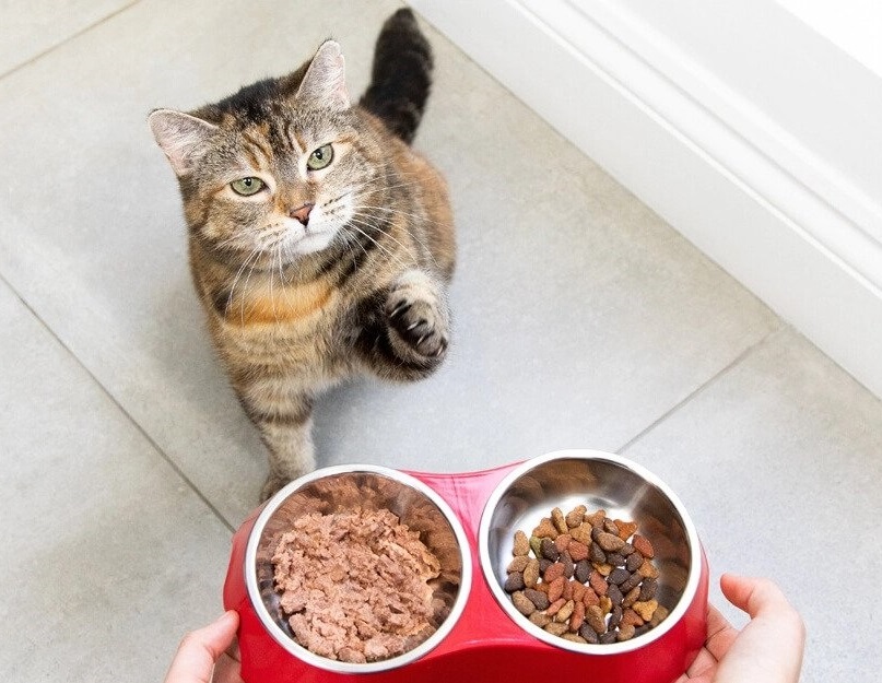 objevte_vyzivu_na_profesionalni_urovni_clanek_006